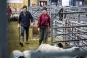 Craven College General Farm Worker Apprentice Emily Smith at The Auction Mart Skipton