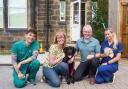 Ashlands Veterinary Centre vet Stuart Black, with Kerry and Paul Gibbons, their Labrador Indy who was left fighting for his life after eating mouldy bread, and veterinary nurse Megan Fowler. Picture Ashlands Veterinary Practice
