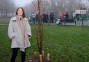 Katy Ashby from Dacres with new trees