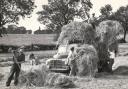 Mr Penny haymaking at Mount Farm, Rawdon, in 1954.