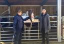 Alex Sobel MP visits Think Like a Pony where he met charity founder Lynn Henry