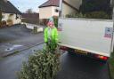 Volunteer Helen Metcalfe loading a van with trees