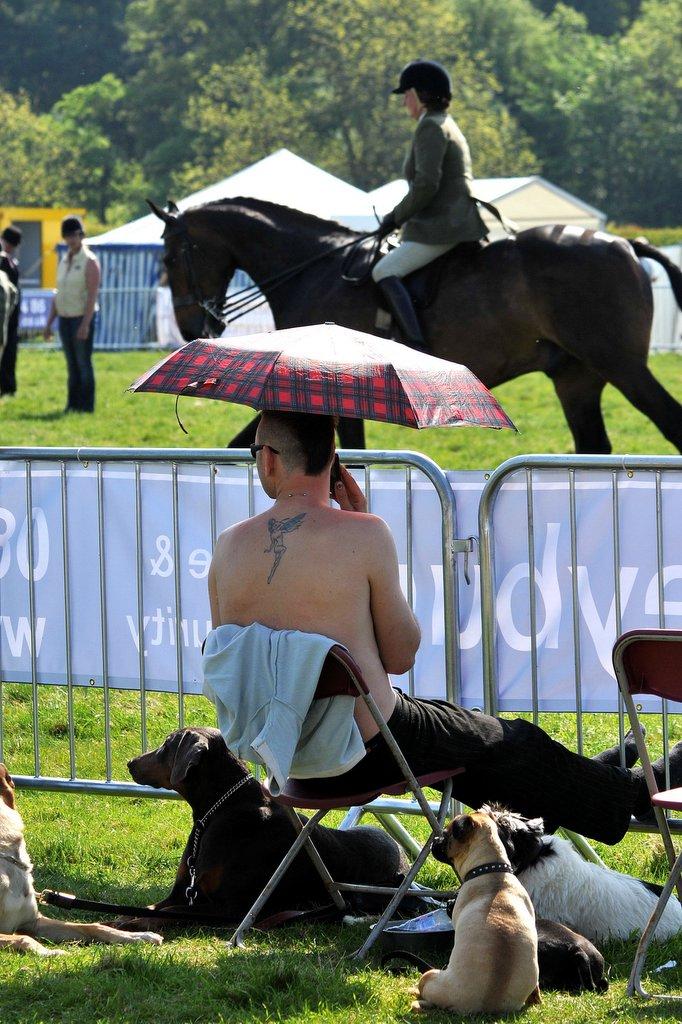Otley Show spectators resorted to using umbrellas to shade themselves from the blazing sunshine.