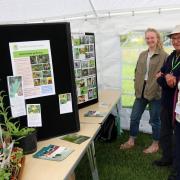 The Wildlife marquee included a comprehensive display by Jan Hindle and Anne Hodgson on wildlife friendly gardening