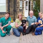Ashlands Veterinary Centre vet Stuart Black, with Kerry and Paul Gibbons, their Labrador Indy who was left fighting for his life after eating mouldy bread, and veterinary nurse Megan Fowler. Picture Ashlands Veterinary Practice
