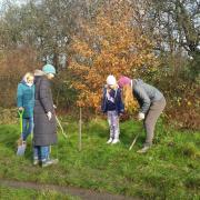 FoPP’s Joanna Brooks Shows How To Plant A Tree Whip