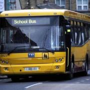 A petition has been launched in a bid to save local primary school bus services - the P99 and P98