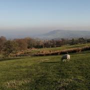 Looking towards the Chevin by Roger Cook