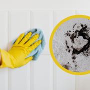 Mrs Hinch fans reveal a grout cleaning hack that stops mould growth in your bathroom