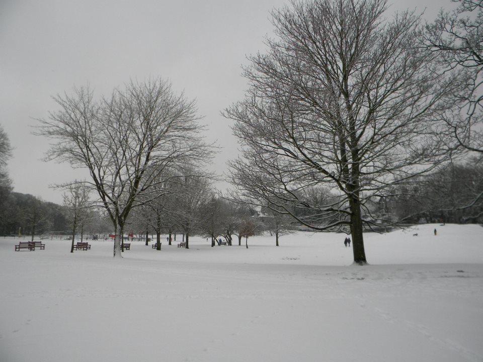 Eighteen and under – Snow in an Ilkley park by Anwen Smith (vote number 0323)