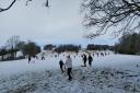 Sledging at Otley in the recent snow, by Ian Naylor