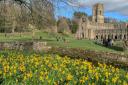 Fountains Abbey. Photo taken on Mother’s Day 2023 by Hollie Rushton