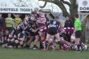 Otley (black/white) battling in the scrum at Sheffield on Saturday