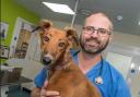 Dave Hough, of White Cross Vets, says research is key before buying a pet