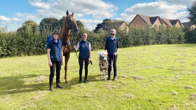 Jo Foster visited Ashlands Primary School in Ilkley with racehorse Ziggy and Shetland pony Teddy