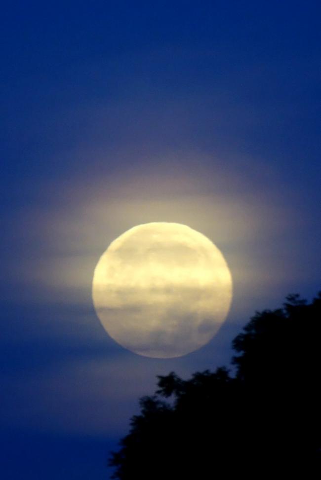 Full moon by Steve Davey