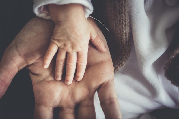 Wharfedale Observer: A Father and child's hand next to each other. Credit: Canva