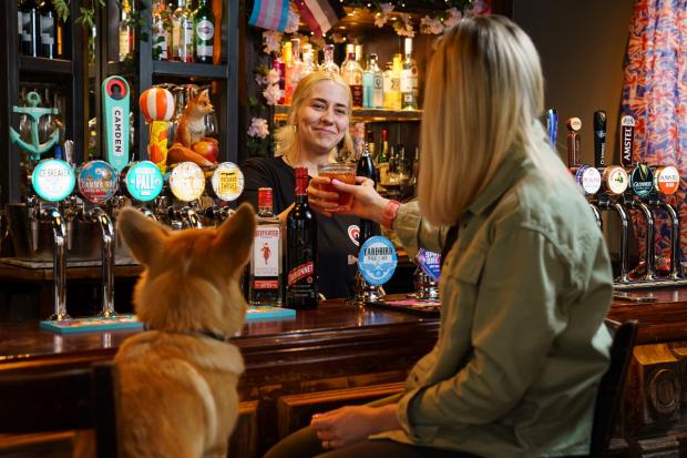 Wharfedale Observer: Take a Corgi for a free 'Queen's Tipple' over the Platinum Jubilee weekend. Picture: Greene King