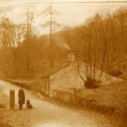 A man and dog at Belmont Woods. Aireborough Historical Society
