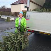 Volunteer Helen Metcalfe loading a van with trees