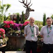Tingley Garden Centre acting manager Dan Moore and assistant manager James Tolson Dan Moore and James Tolson