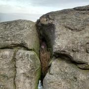 A natural cross formed in the stone at the Cow and Calf Rocks, Ilkley