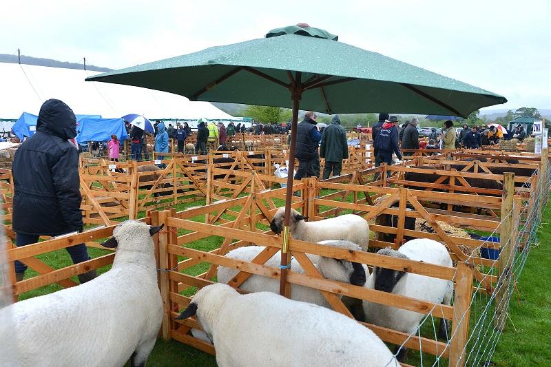 Keeping dry at Otley Show 2013