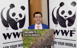 Alex Sobel MP joins the WWF’s Earth Hour in Parliament